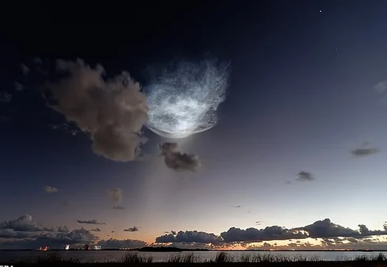 Breathtaking 'Space Jellyfish' Lights Up the Pre-Dawn Sky Over the US