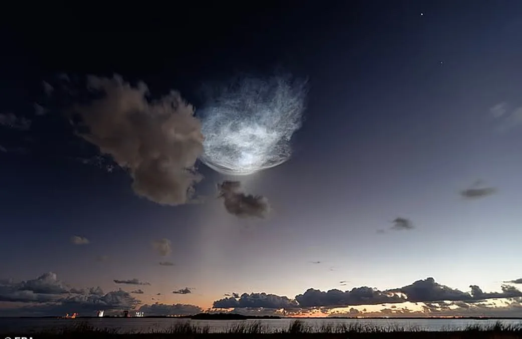 Breathtaking 'Space Jellyfish' Lights Up the Pre-Dawn Sky Over the US